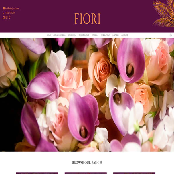 Client 2 website