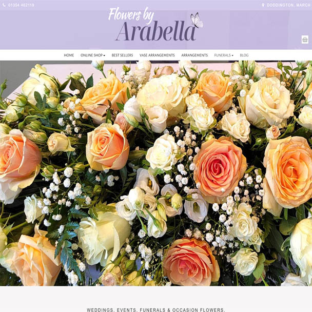 Client 3 website
