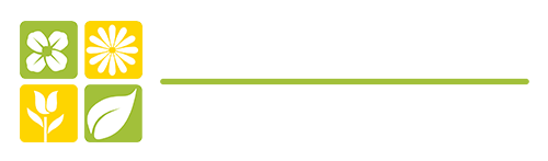 Florist Window Ecommerce for Florists