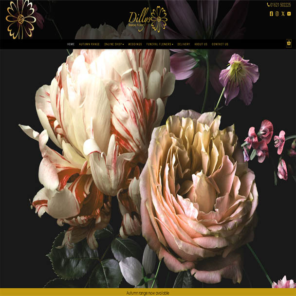 Client 1 website
