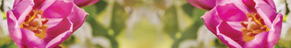 Florist Window Banner