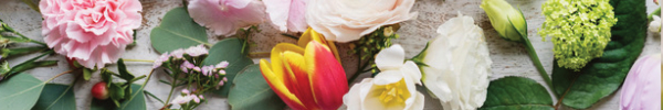 Florist Window Banner