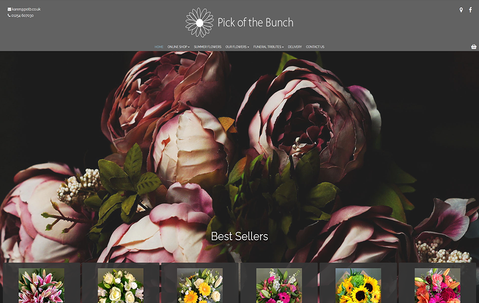 Pick of the Bunch