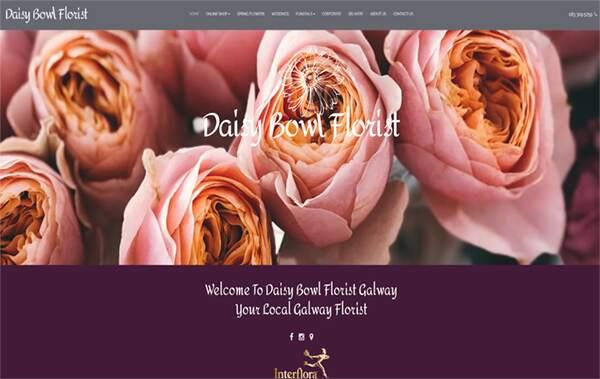Daisy Bowl Florist website example in Ireland