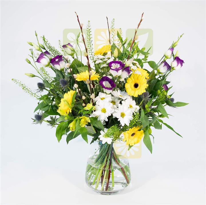 How often should a florist update their website